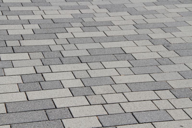 Modern Paver Design